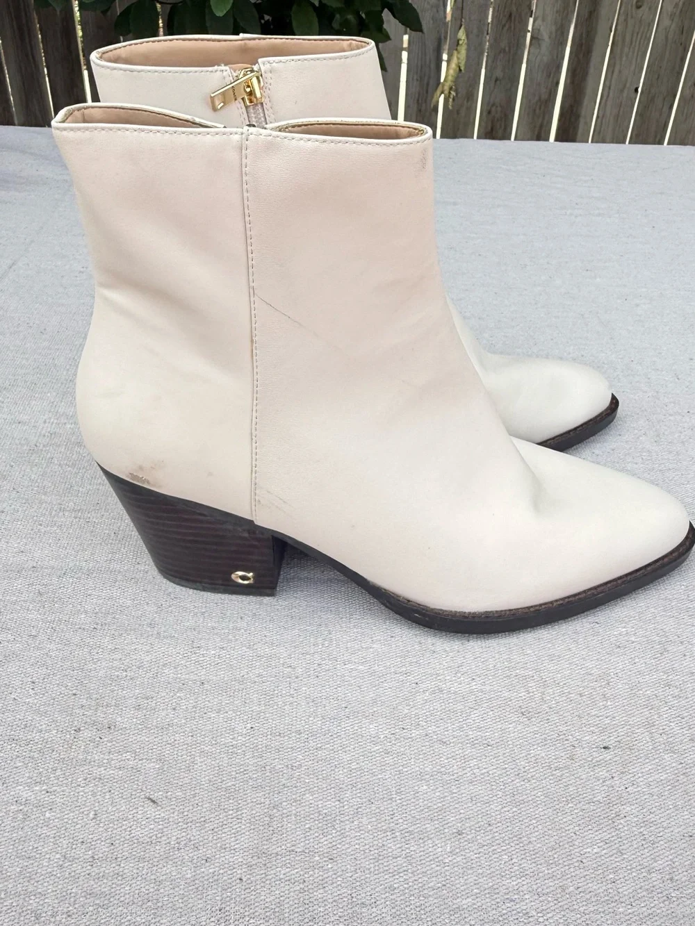Coach pointed toe